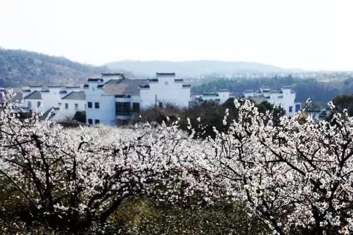 三国如龙传
